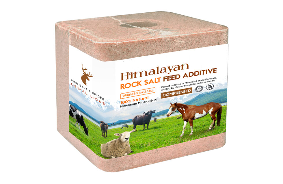 Himalayan Compressed Salt Lick