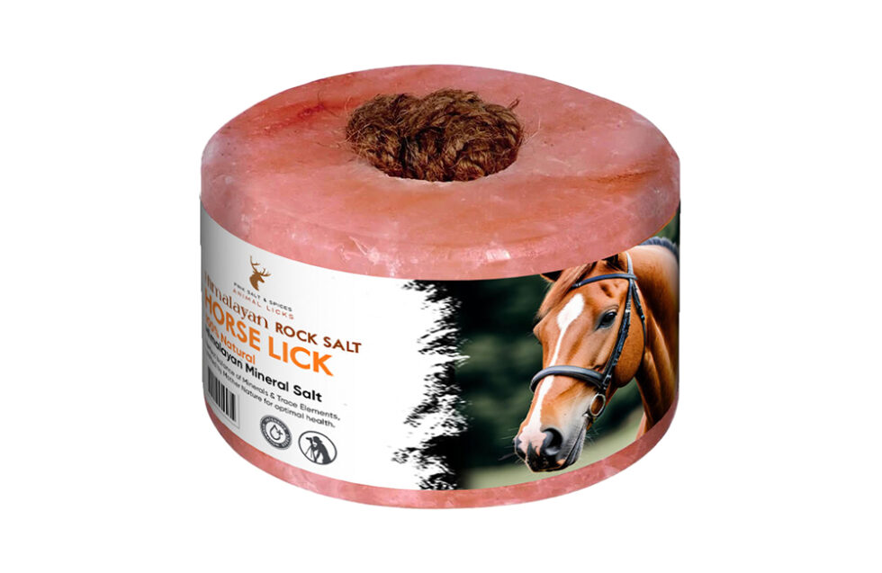 himalayan salt lick for horses​